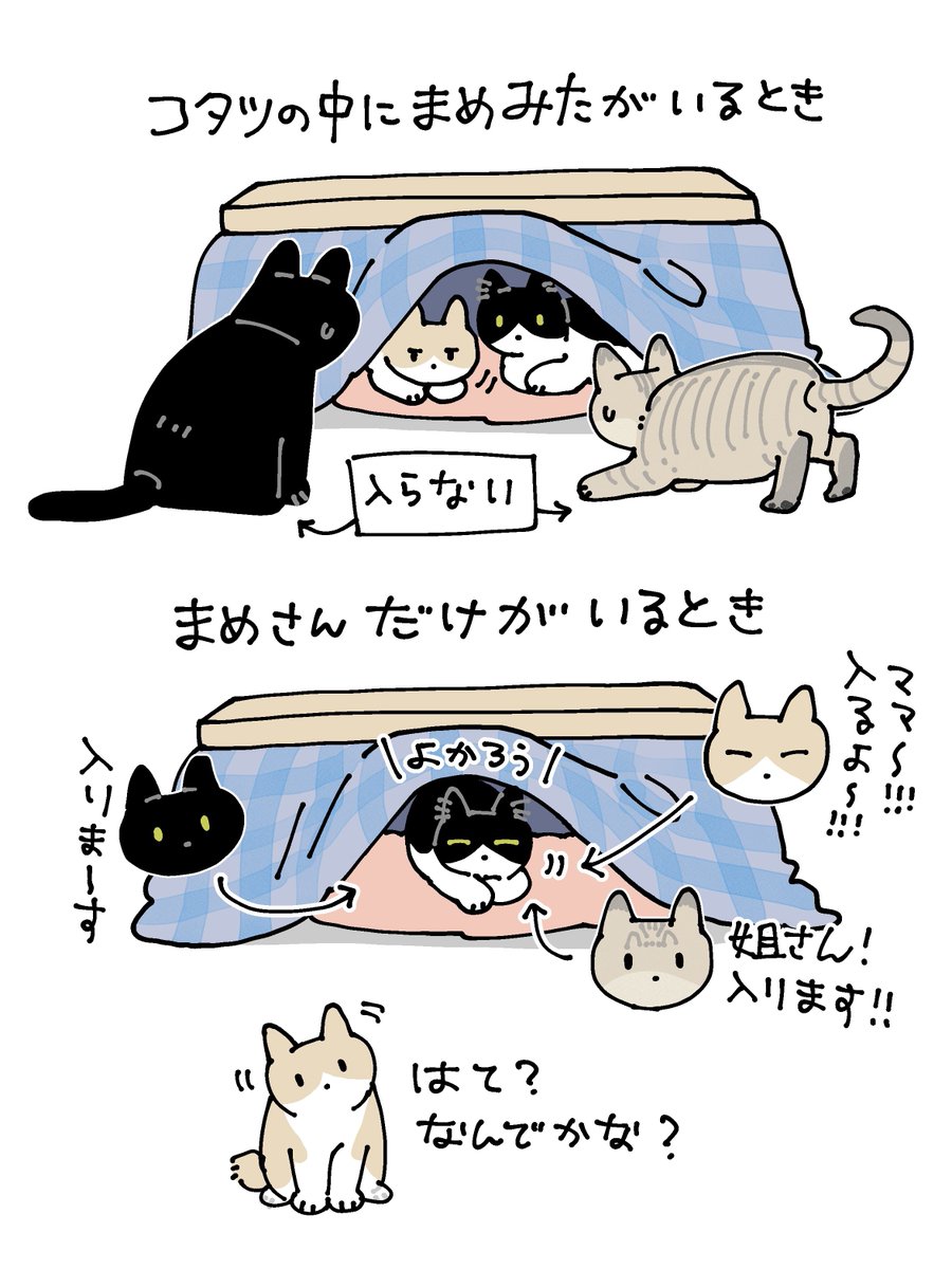 コタツとねこたちの関係性