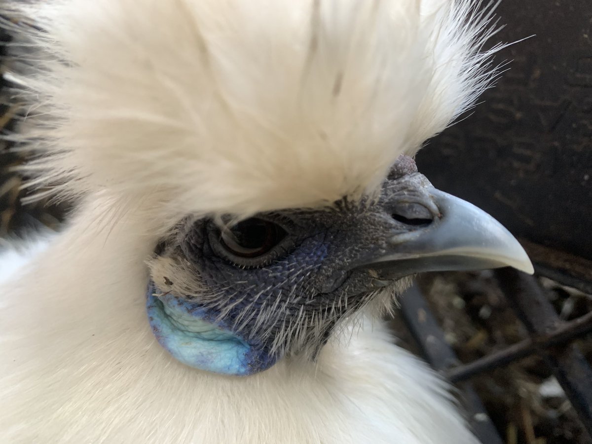 working class haute couture