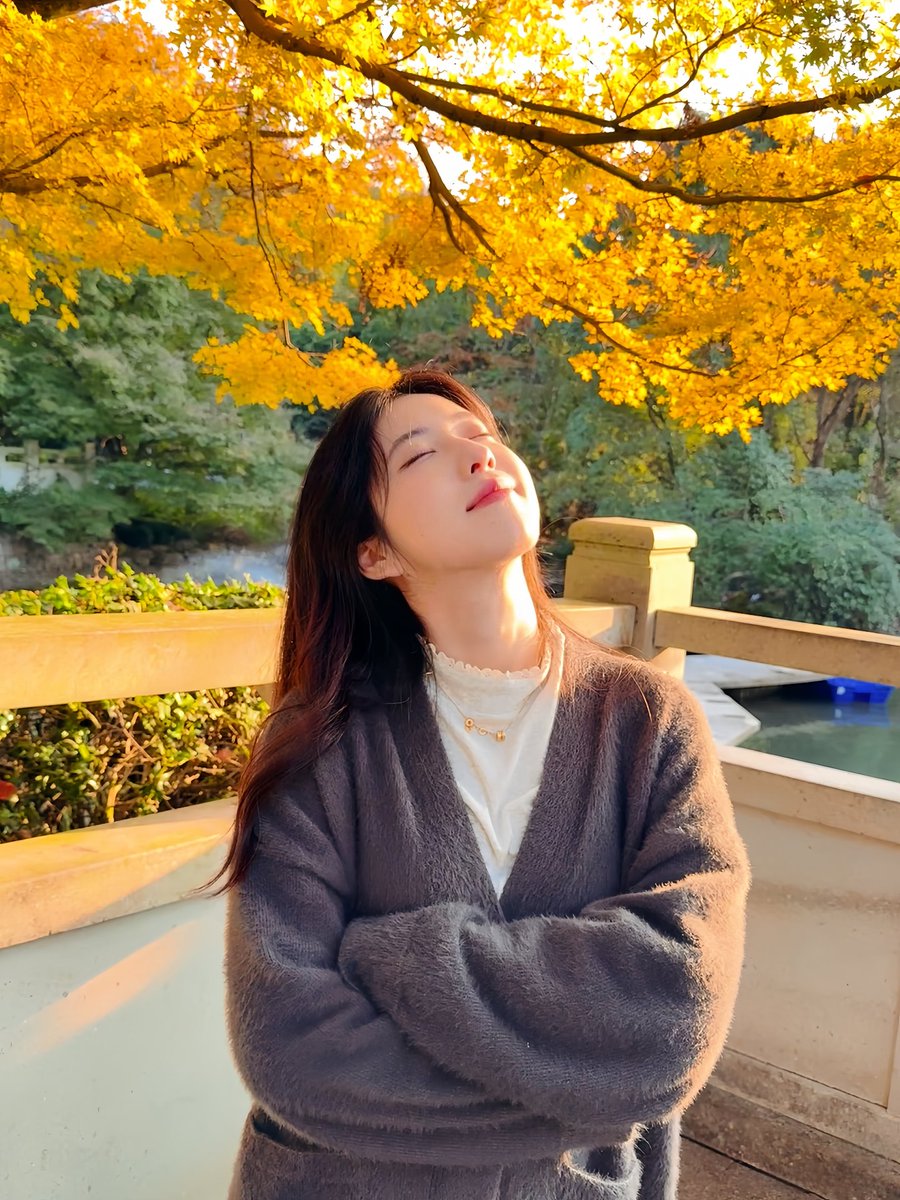 爱吃酸菜鱼 tweet media