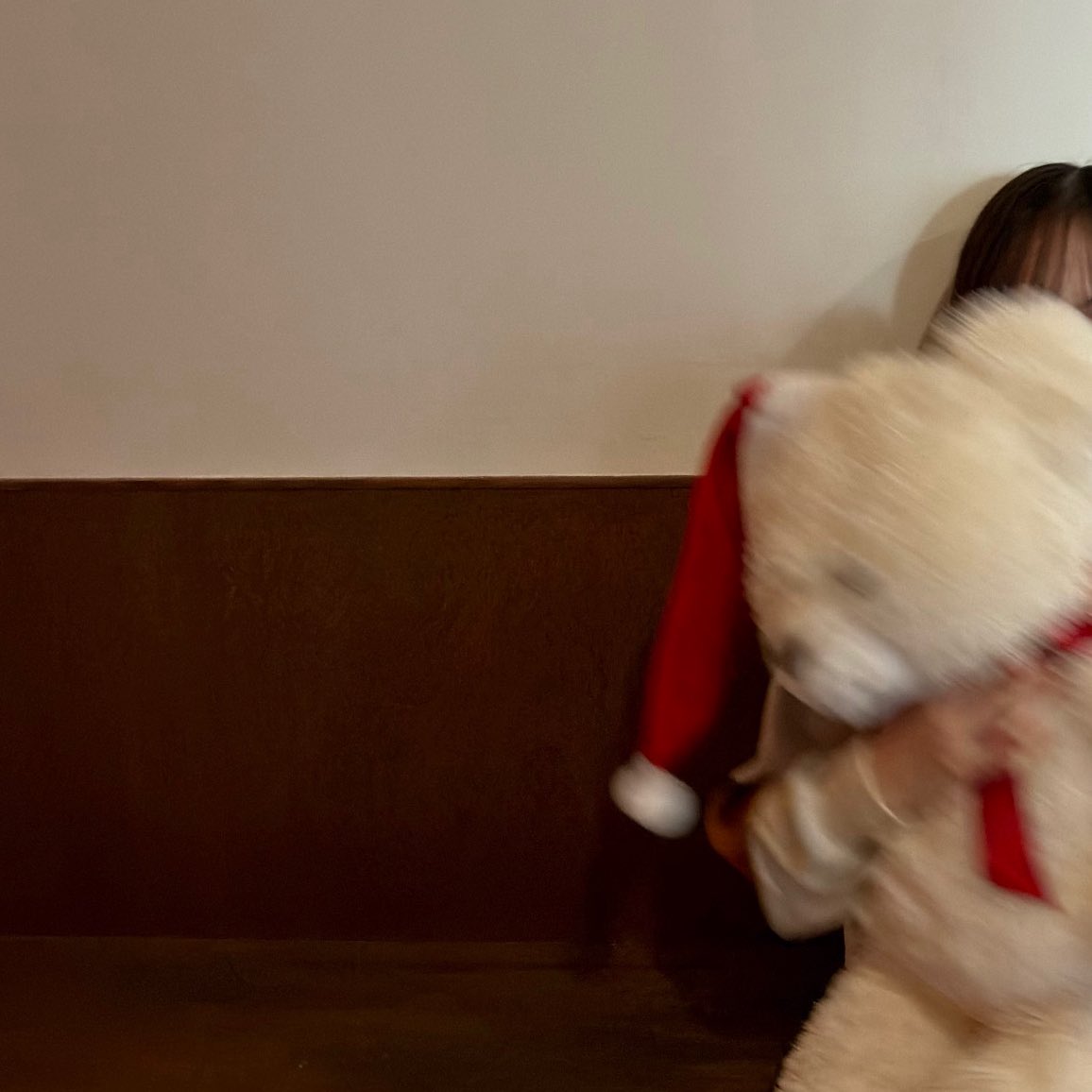 _natsunoyoru's tweet photo. ☃️🎄🎅🏻🧸 https://t.co/JH29jJF2QV