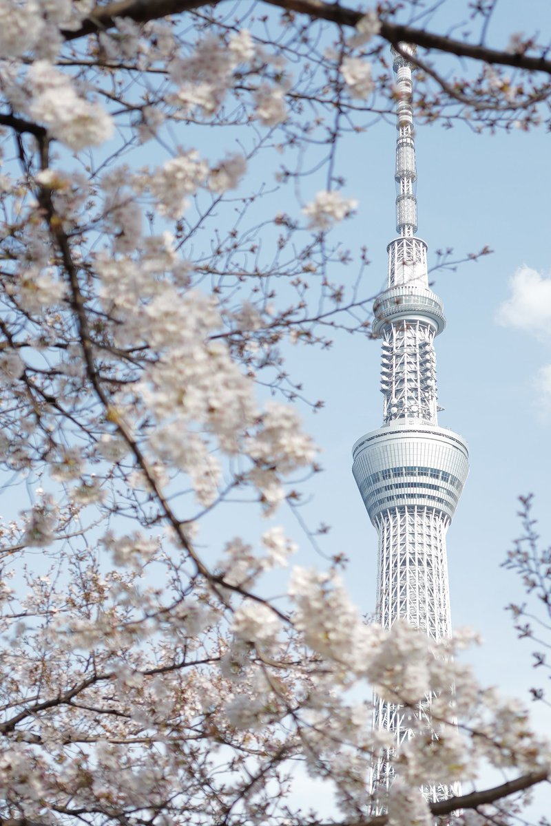 srmr_coke00's tweet image. 5年の休眠期間を終え、復活しました…!写真垢としてのんびり再開したいと思っていますー
メインは街スナップですがたまに自然風景を取りに出掛けます(￣(工)￣)
よければお気軽にフォローして下さい～
#写真が好きな人と繋がりたい
#写真撮っている人と繋がりたい
#カメラ好きな人と繋がりたい