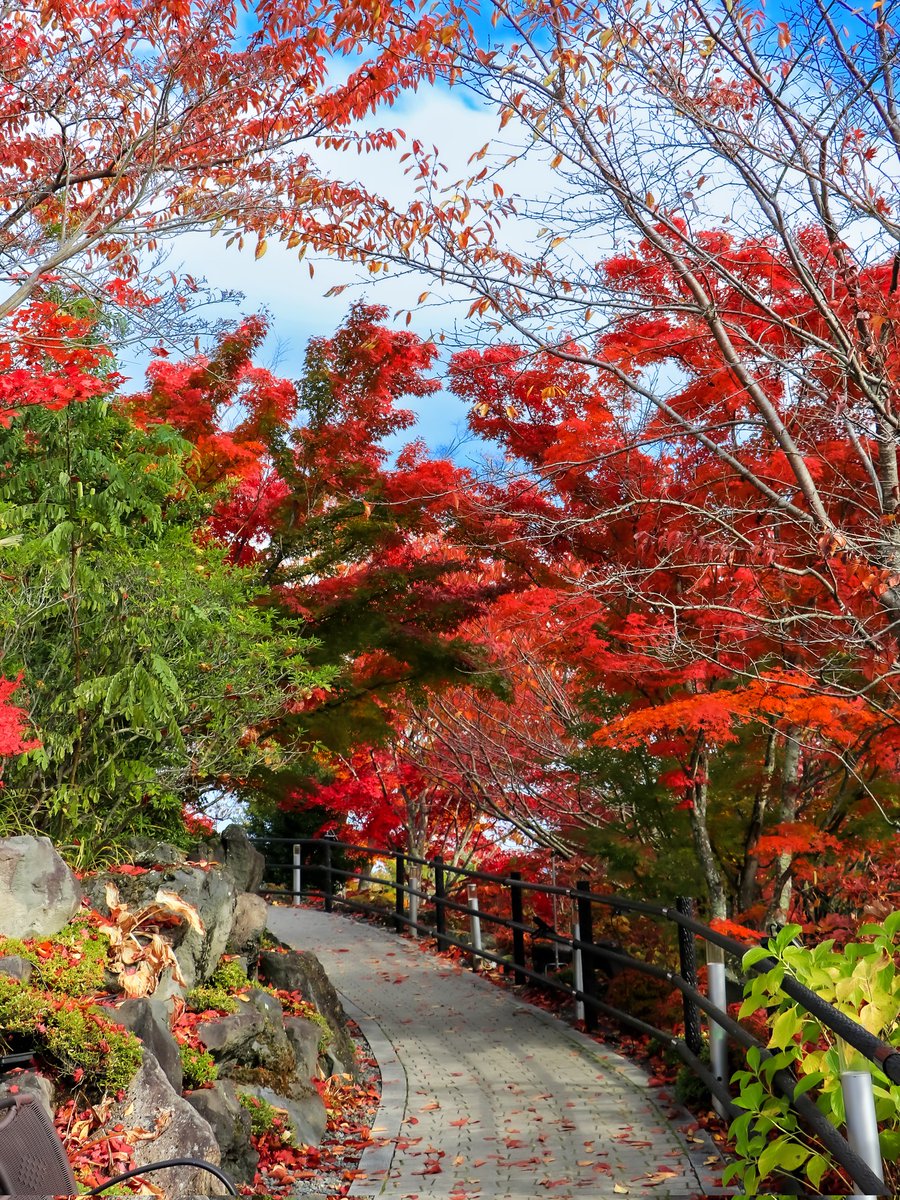 インプ@多忙のため低浮上中 tweet media