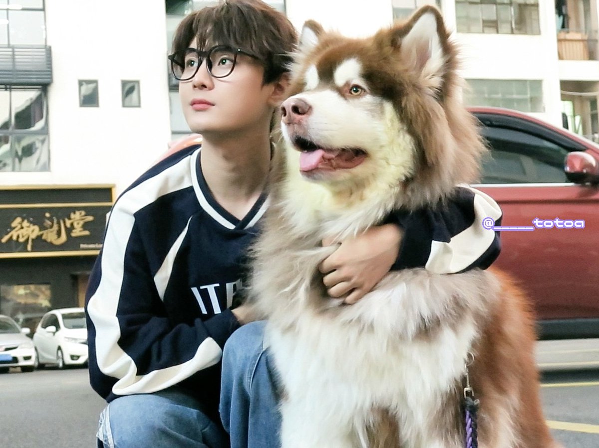 totoa_lxk's tweet image. 2025.11.29. 
墨墨屋 一日店长
私はもう疲れました。笑

#郭震 #グオジェン #궈쩐