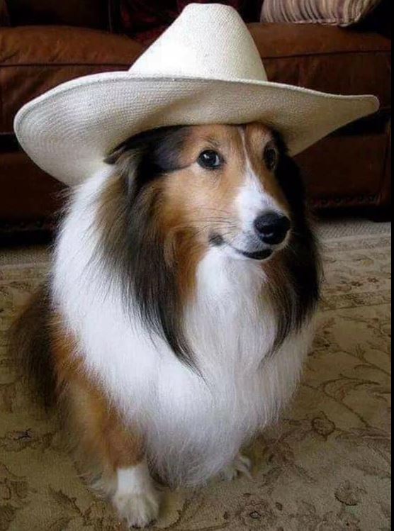 ArtusJeanJh's tweet image. A night at the concert feels electric, her voice singing along, her beauty glowing in neon lights. #ConcertVibes 🎶