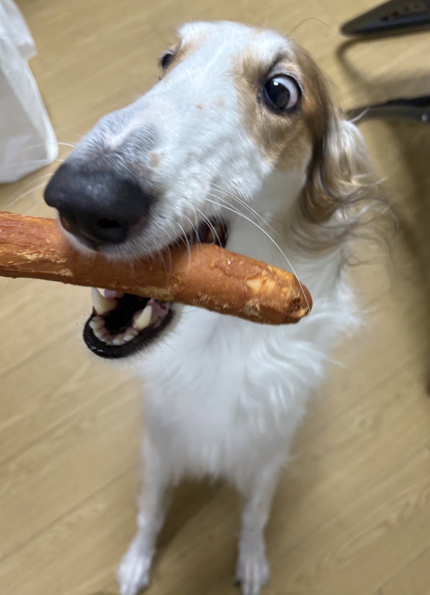 おやつ〜ψ (⸝⸝⸝´༥`⸝⸝⸝) ŧ‹"ŧ‹"