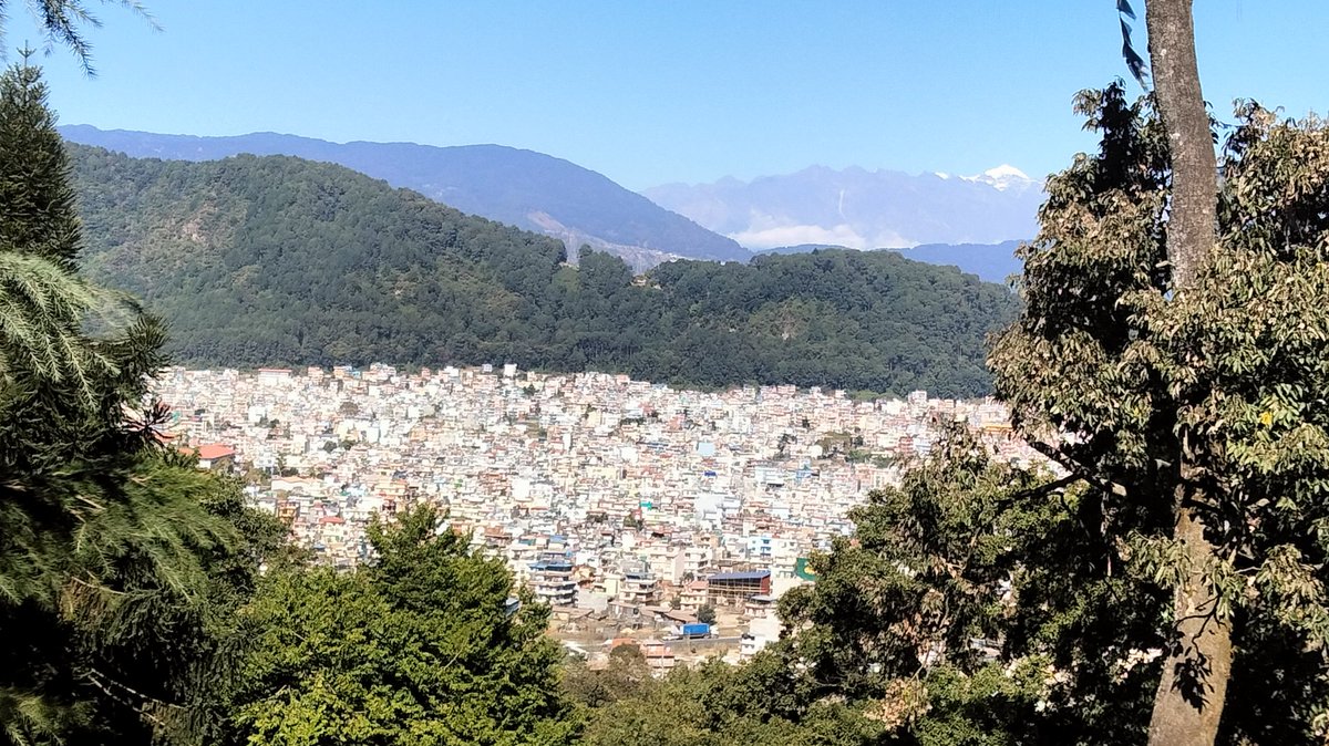 pradahan vikas tweet media