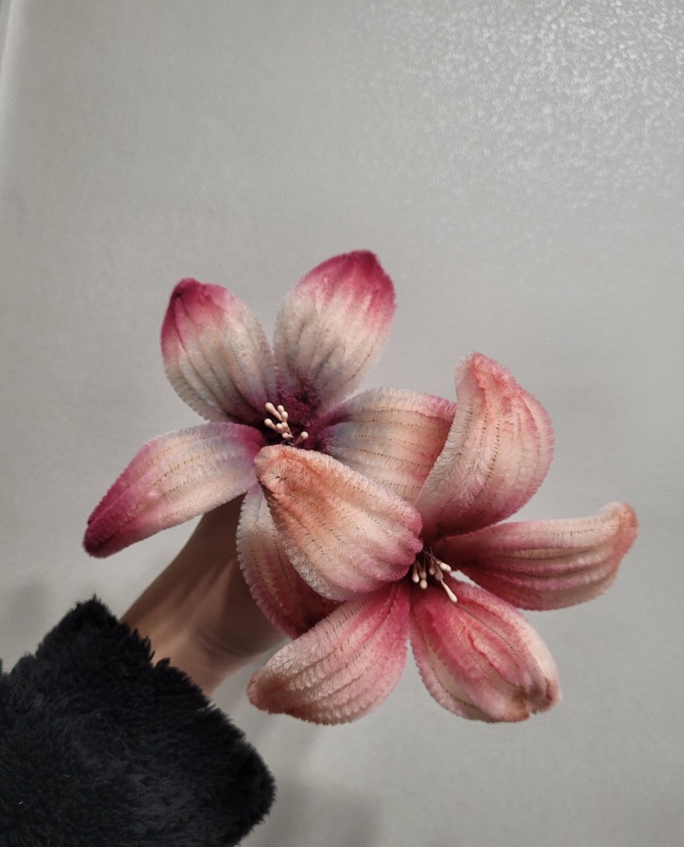 동생이 만들려고 삿는데 못해서 내가 만들어줌