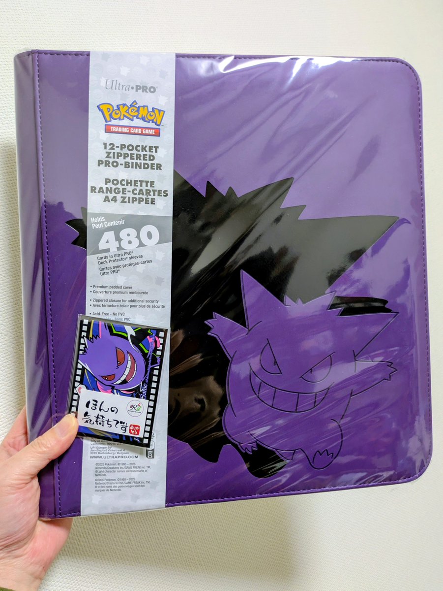 さぼてん (@saboten_azzurro) / Posts / X