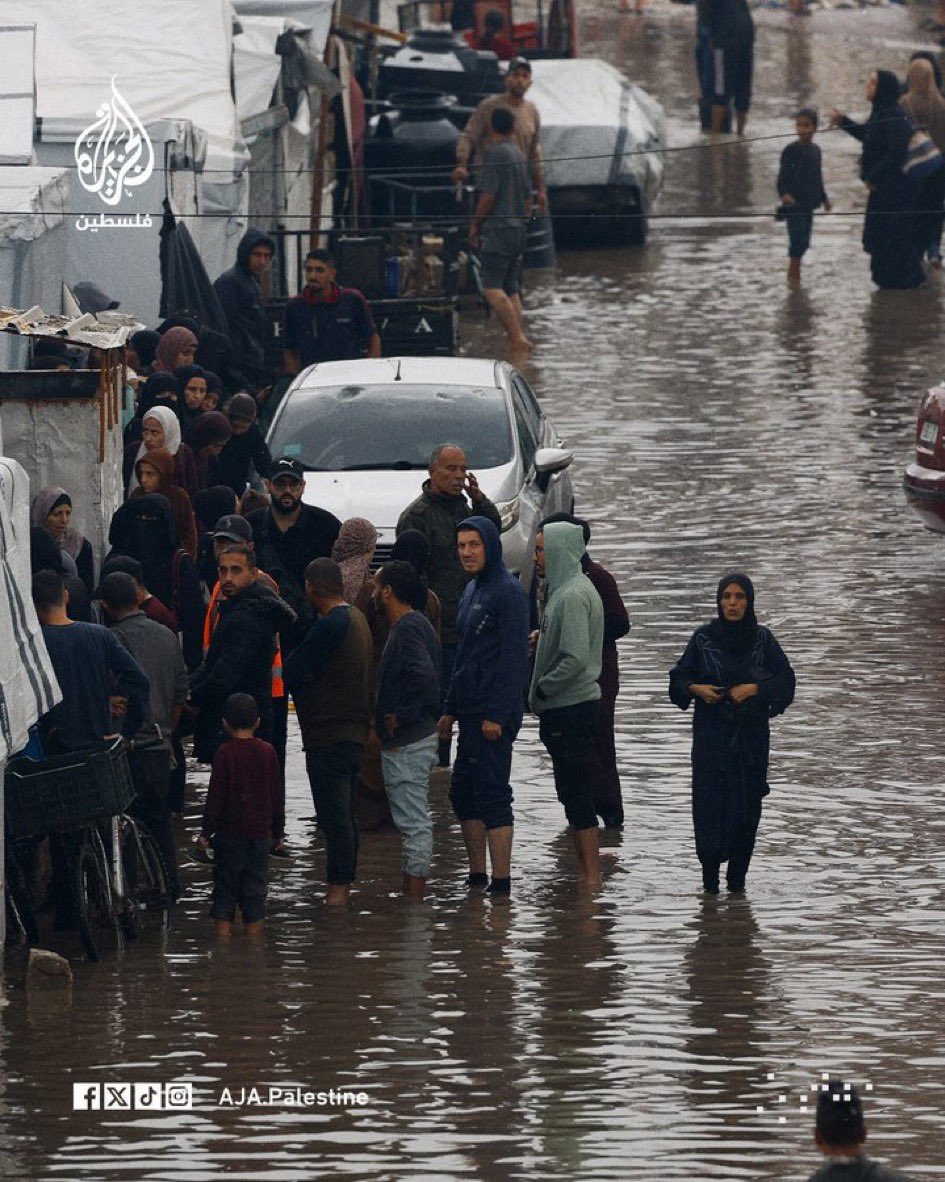 Hoy  #DíaSolidaridadConPalestina, 
no les olvidemos, no les dejemos solos. Sigamos hoy y siempre apoyando a Palestina.