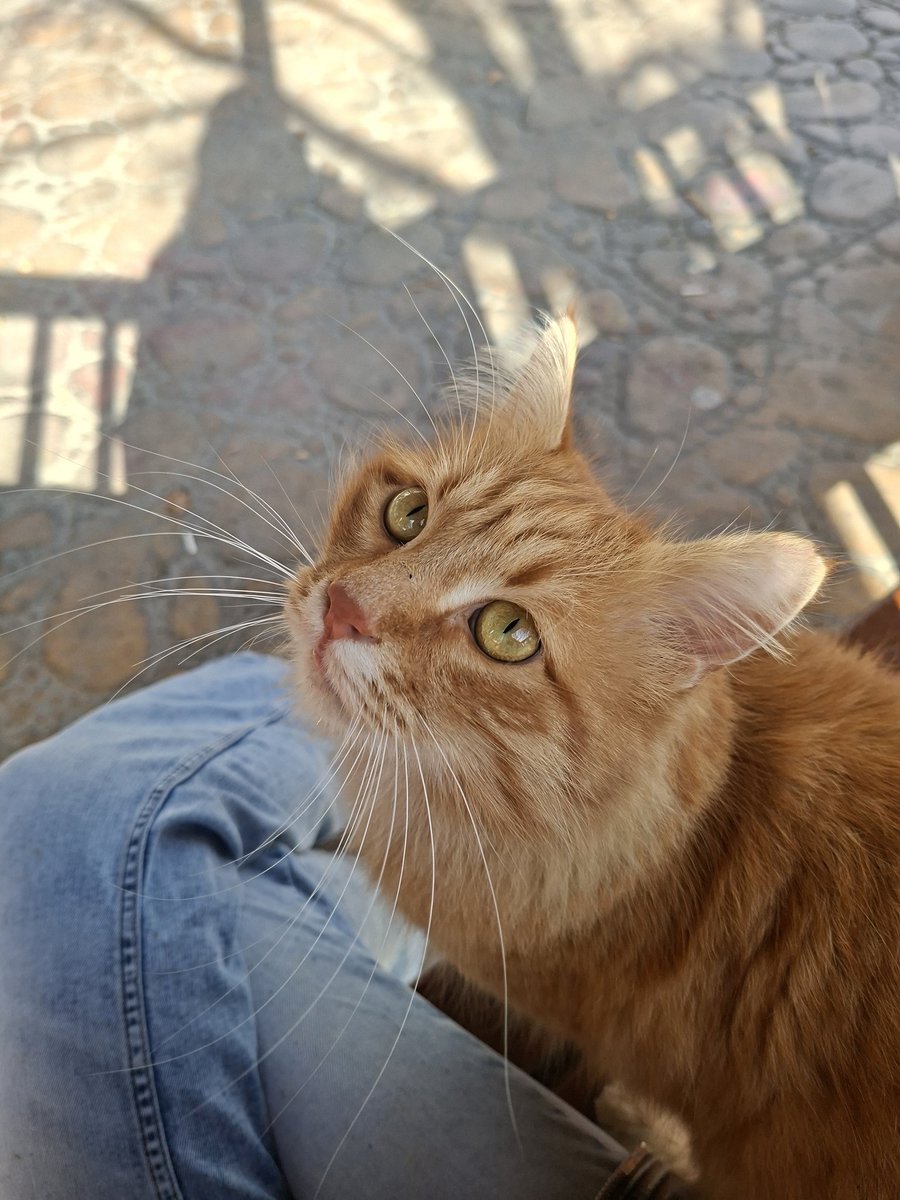 seni calip eve goturmek istiyorum 🫠