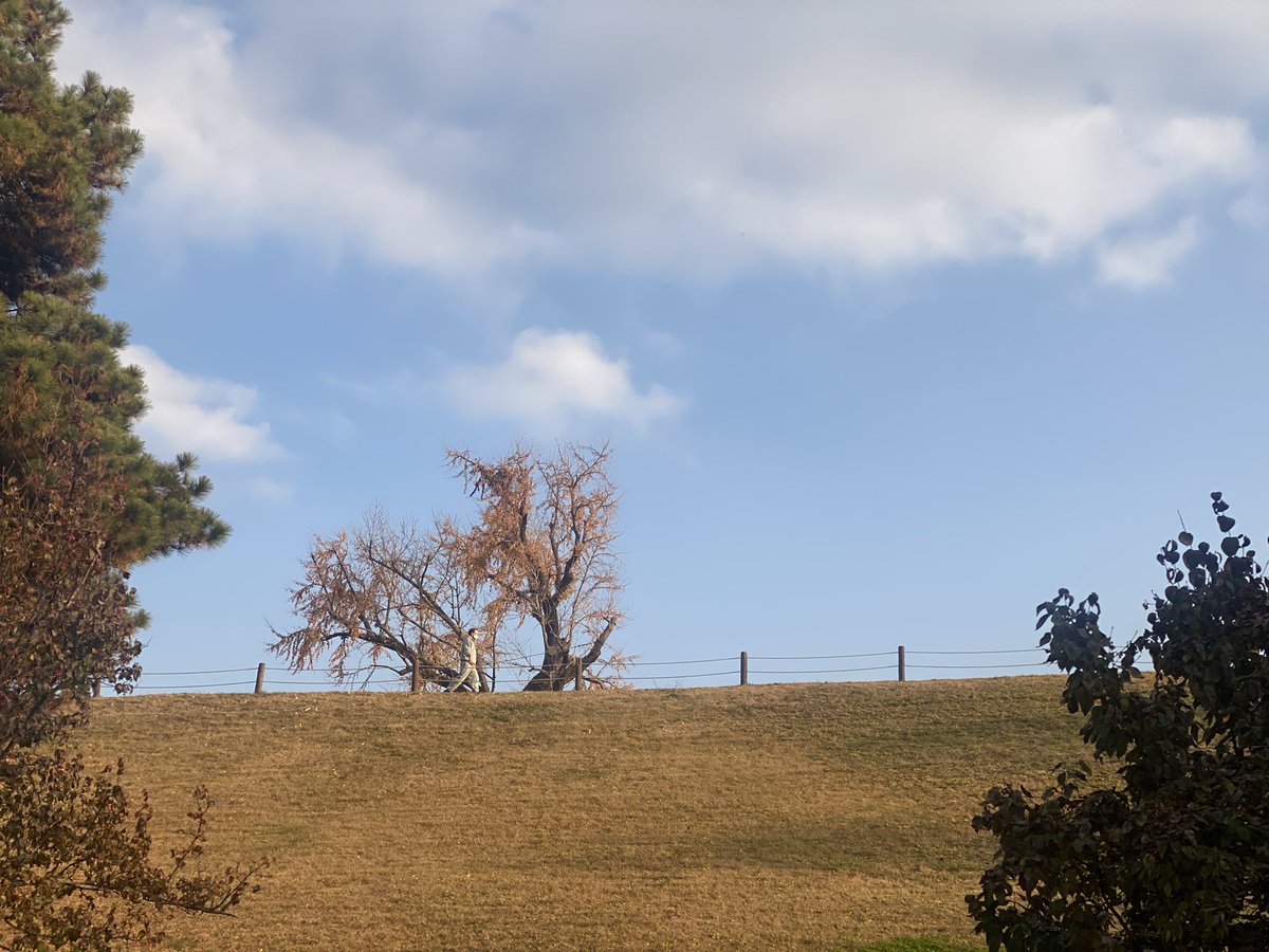 올림픽공원, 서울