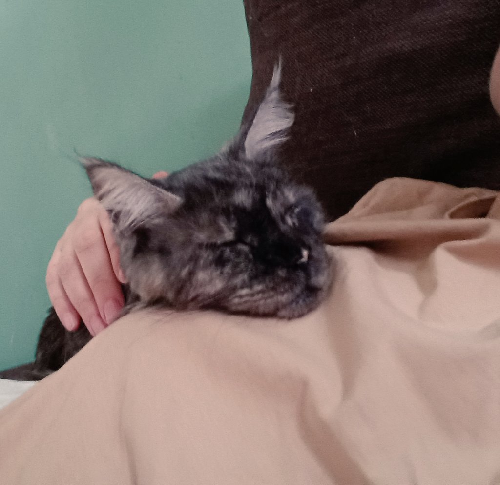 #Марфа спит у матери на груди👑