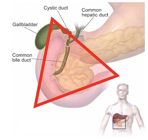 DrAkhilX's tweet image. What is this?
