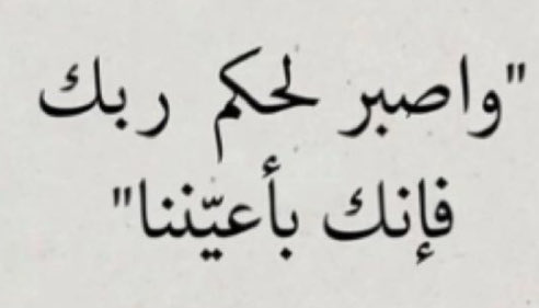 🕊 tweet media