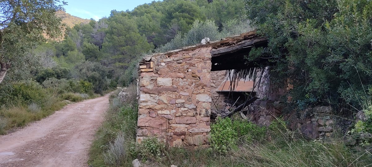 Estat de la construcció hui...