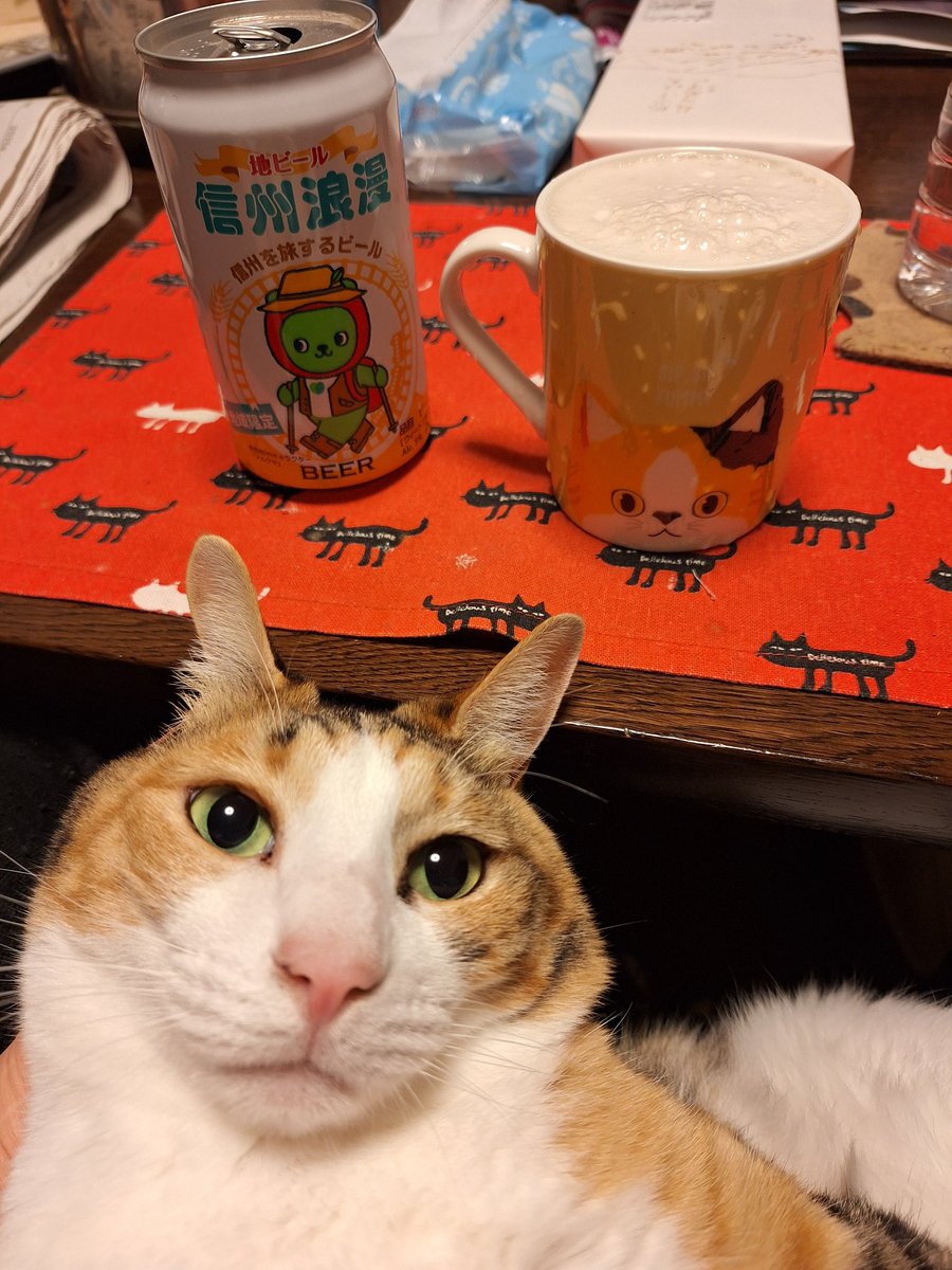 kawaii_nekoniko's tweet image. 地ビールのみました