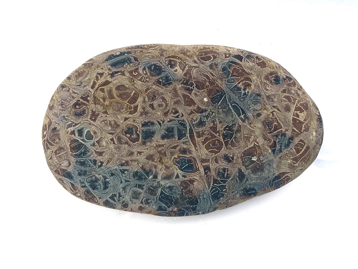 工芸品かと思ったら天然の石😳 美しい✨