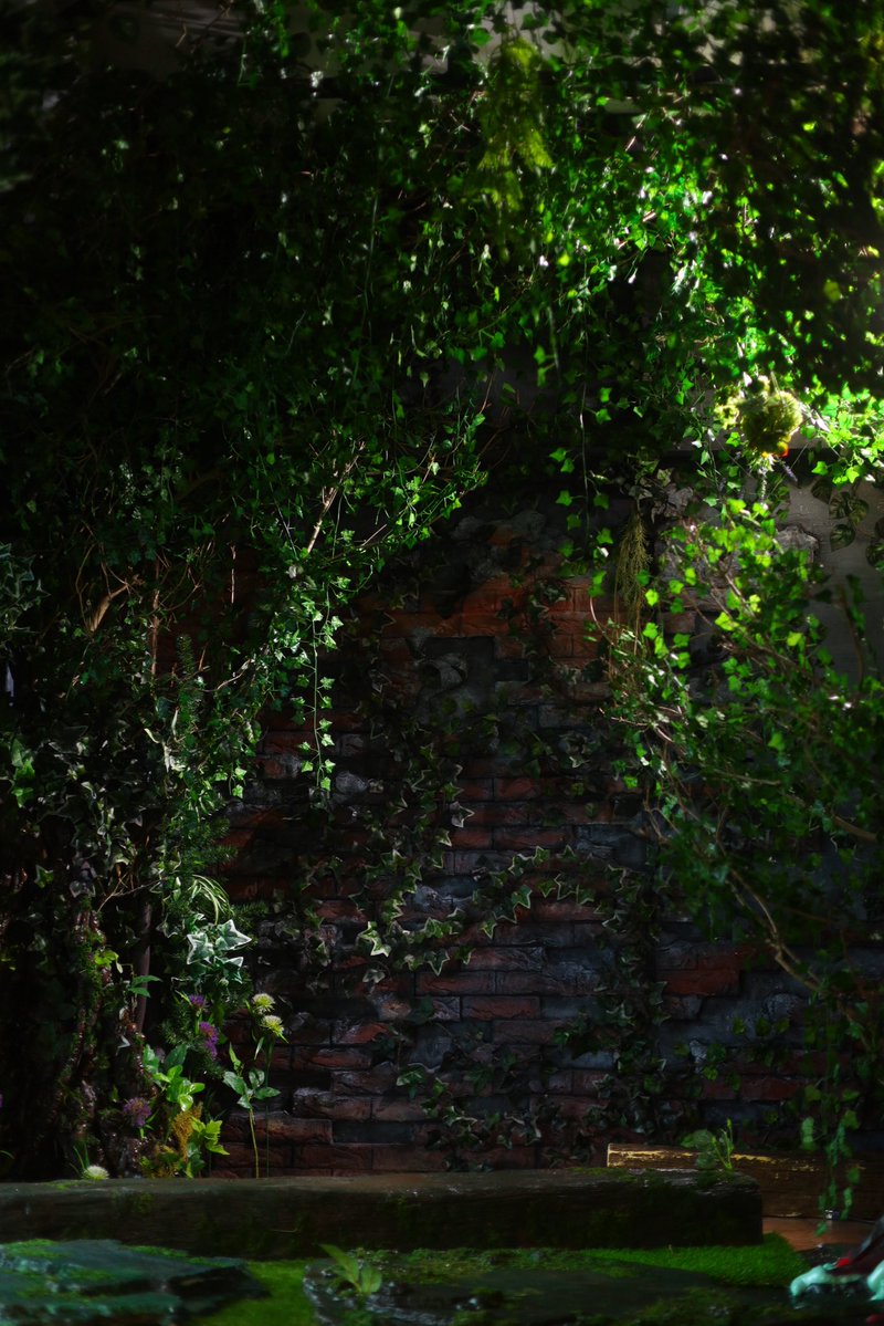 扉を開くと森が出現🌳
室内なので天気に左右されません👌
ロケはちょっと大変💦って方でも都内のスタジオで森撮影できます！

#コスプレスタジオ