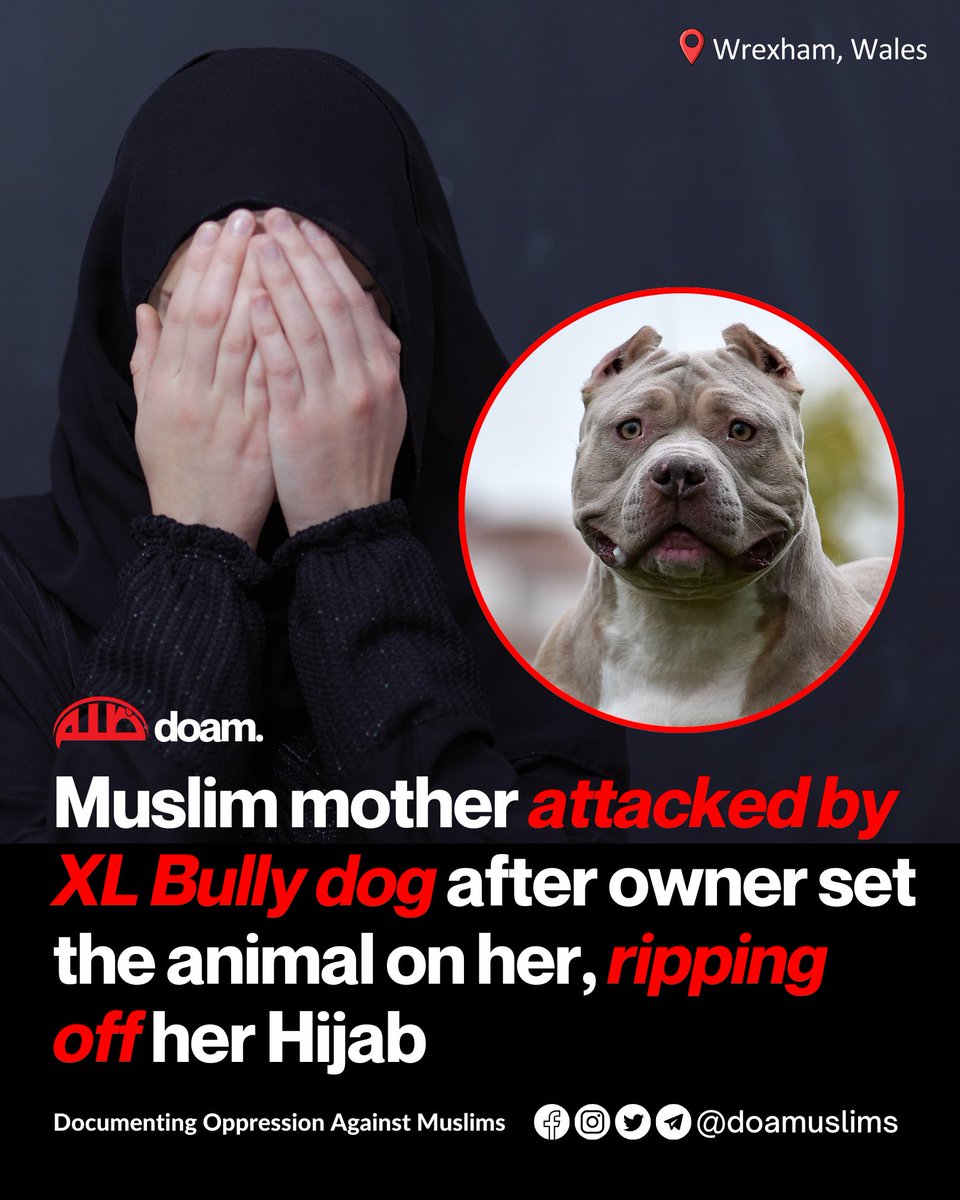 A Muslim mother was attacked by an XL Bully dog after its owner set the animal on her, ripping off her hijab. 

Mold Crown Court heard how Yasmin Begum was standing on Wrexham High Street with her two children when she spotted Tomasz Wegner, 45, walking towards her with his dog.