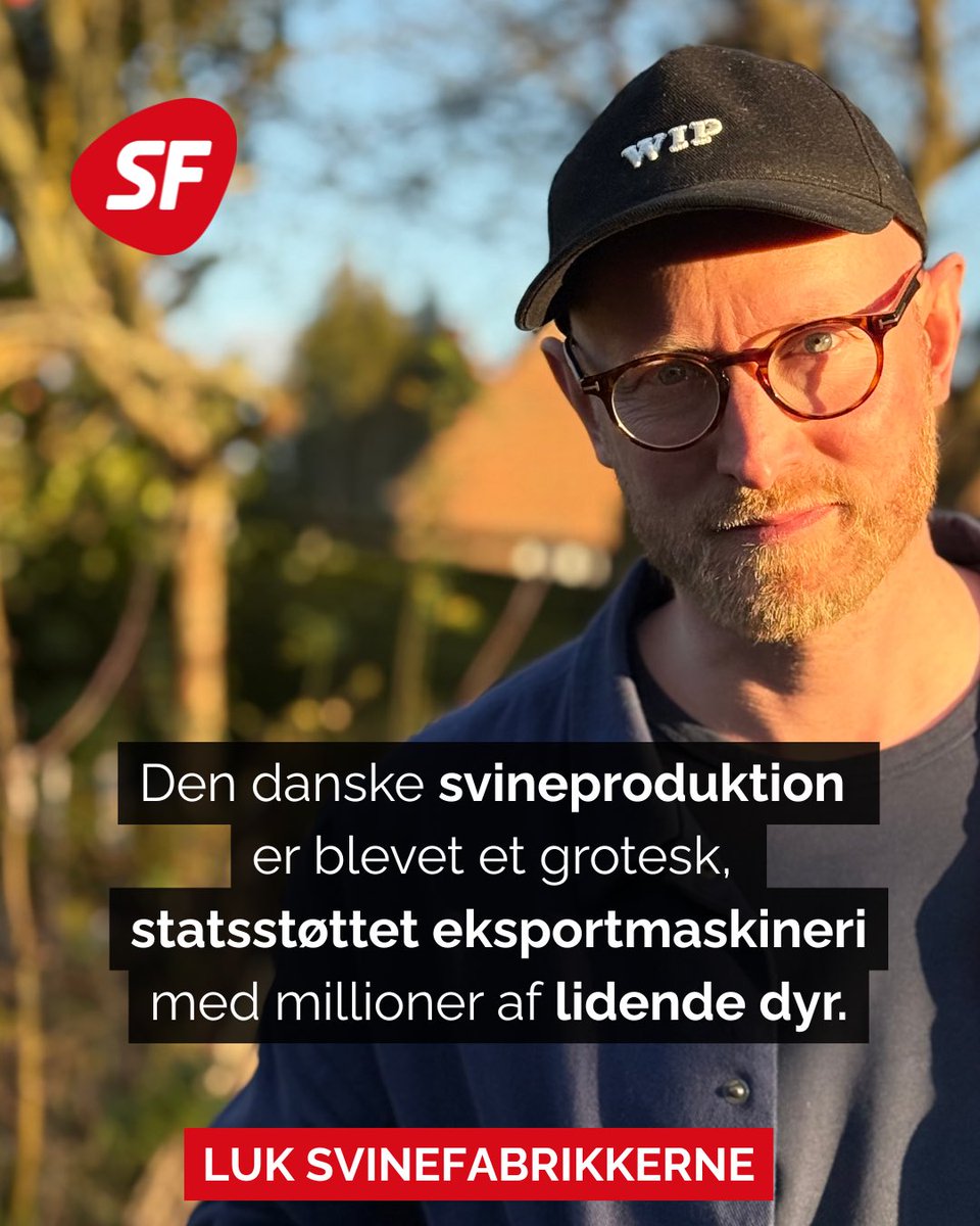 Det er ikke ekstremt, at ville lukke den konventionelle svineproduktion.

Det ekstreme er, at fortsætte vanrøgten af millioner af dyr. 

LUK SVINEFABRIKKERNE 🚫