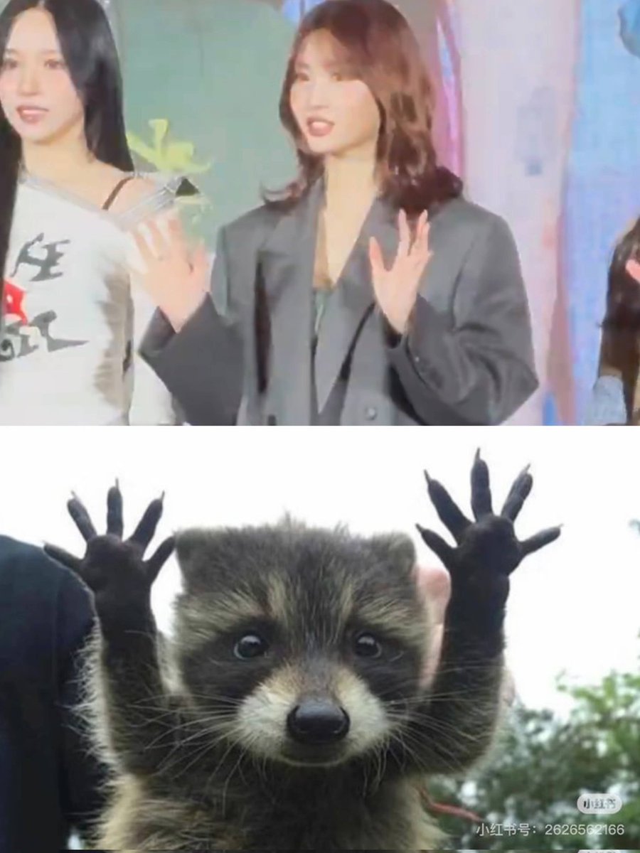 twice_mixx's tweet photo. Literally 😭 https://t.co/58aqfKEAFs