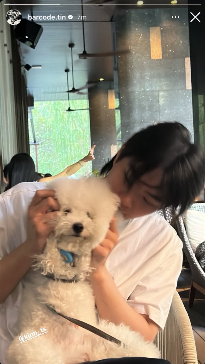 iamjustArr's tweet image. Barcode is a dog person, right? 

#barcodetin
#BarcodeKin 
#codekin