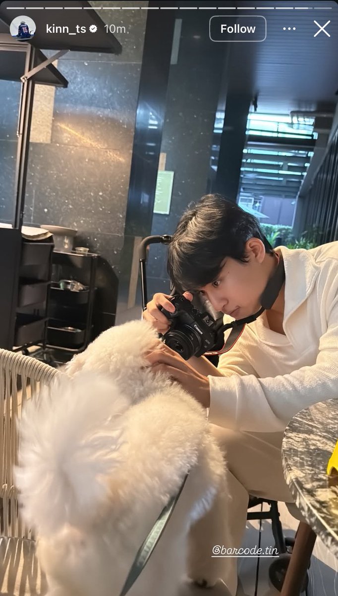 iamjustArr's tweet image. Barcode is a dog person, right? 

#barcodetin
#BarcodeKin 
#codekin