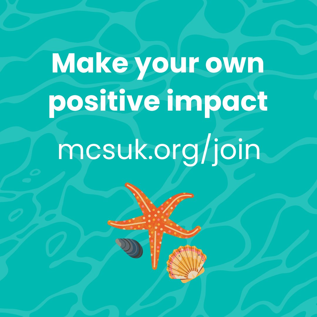 Marine Conservation Society tweet media