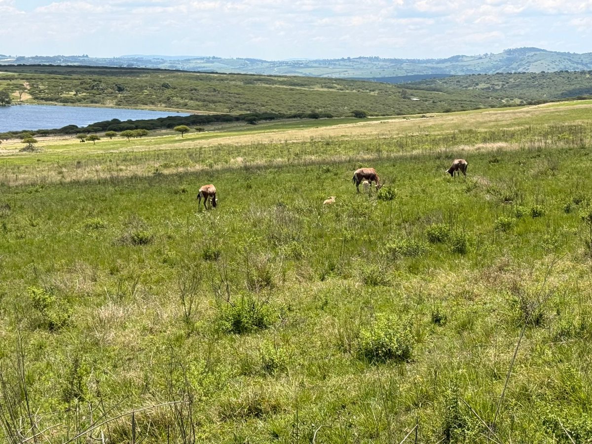 ⚡ (@_legadima16) on Twitter photo 