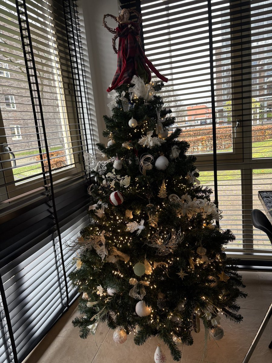 zielzoektocht's tweet image. Nou de 🌲 boom is op voor dat #Sint #Klaas