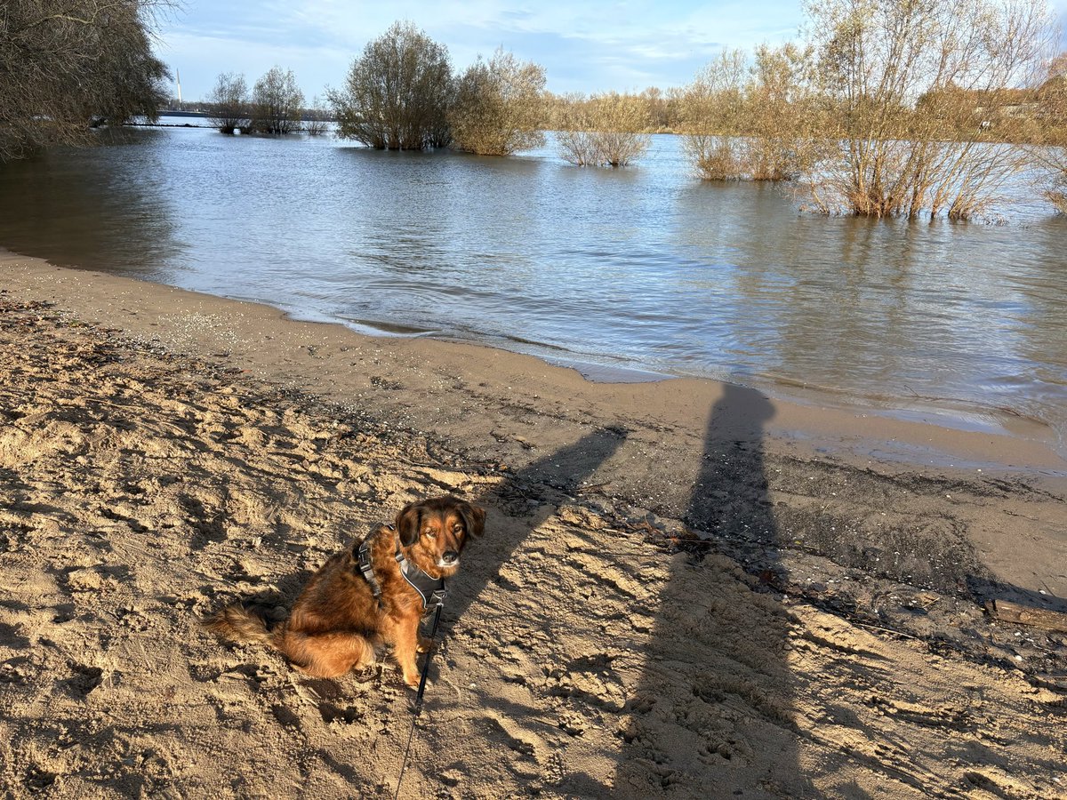 Zwar kein Meer, aber brauchte heute was mit Wasser. Dass Hochwasser ist, wusste ich gar nicht. Hab mich etwas geschleppt, aber mich über die Muscheln gefreut. Und dann kam noch die Sonne raus….