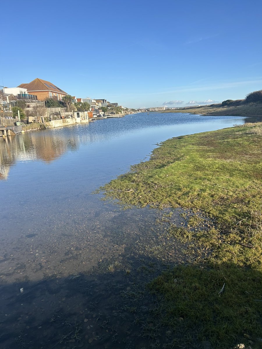 Thespianlover12's tweet image. Winter walks with my favourite two people on the planet #mumslove #offspring #son #daughter #sussexcoast #dogwalks
