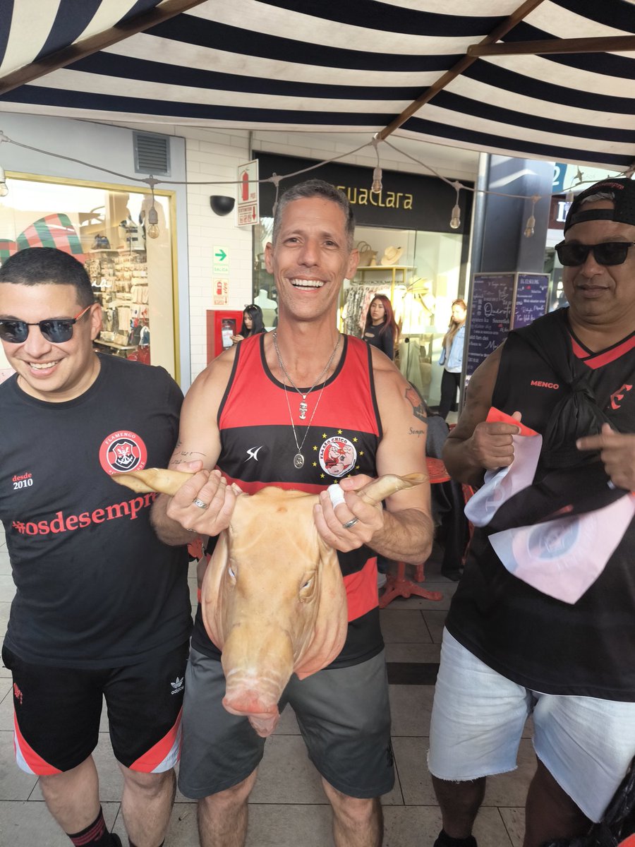 Ninguém morre nos devendo!
🔴⚫🏆🏆🏆🏆

Seremos Tetracampeões!

<a href="/fla_saochico/">Embaixada Fla São Chico Fundada 26/04/09</a>