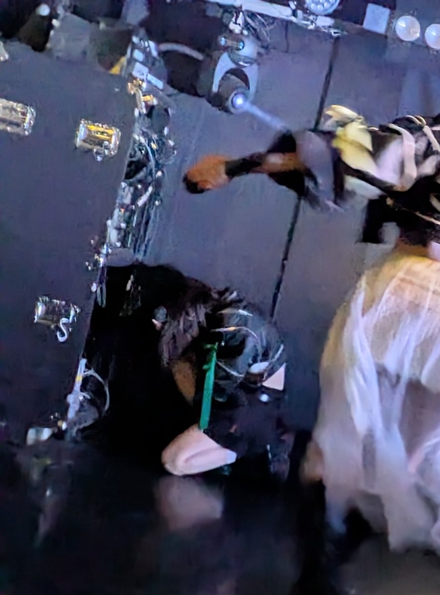 ←これが　こう→
※イジメではありません
@新宿サイエンス　11/28（金）

＃o_ver_kill  ＃バキル
＃さりなのBiGLOVE
＃SARiNA