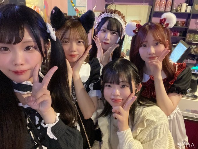 メイドカフェ ぴゅあはーとのツイート