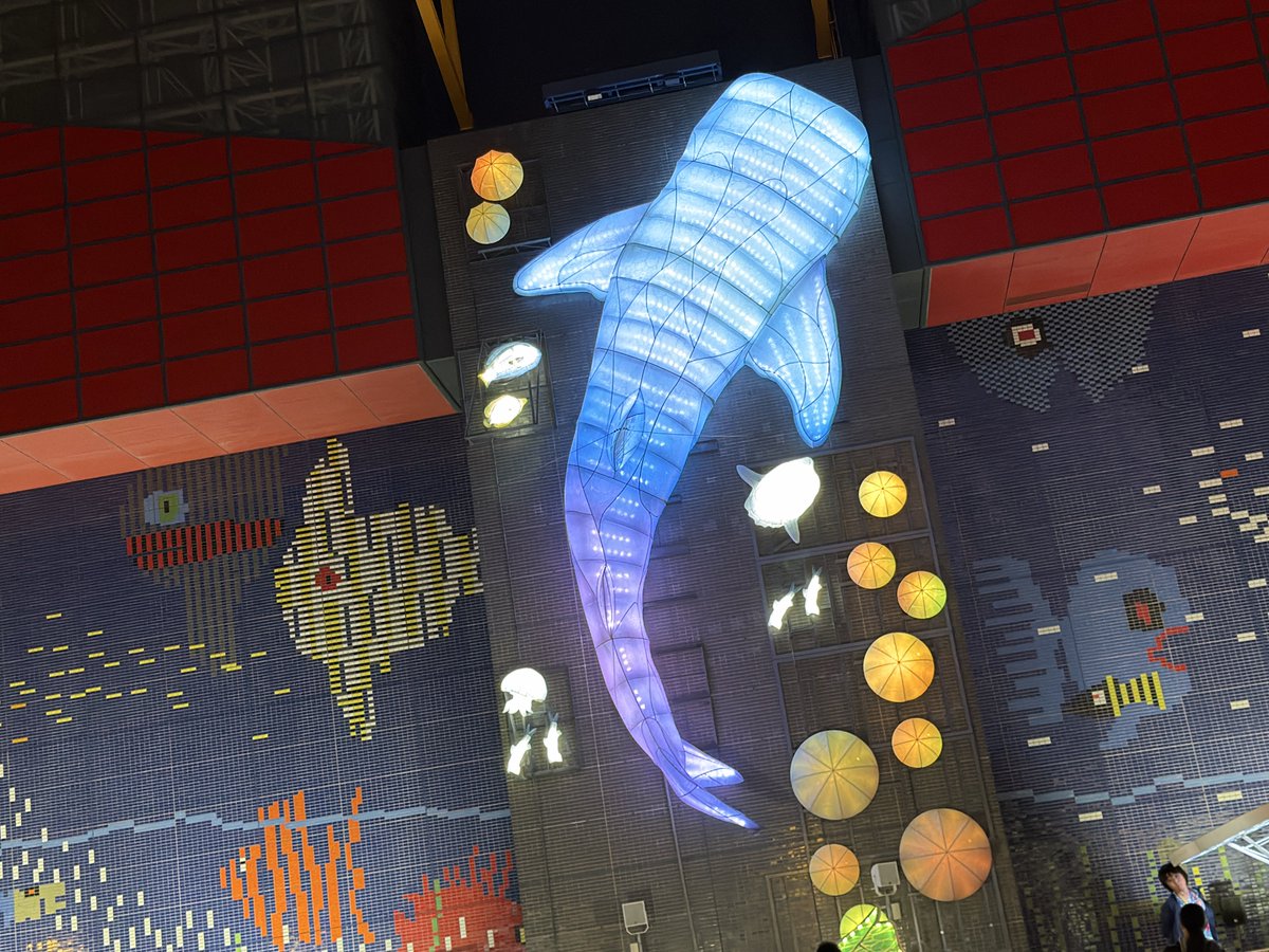 pippi_vba's tweet image. 姪っ子に言われて海遊館前のイルミネーション観に来たけど、どんどんしょぼくなってる…？
着いて10分で退散(๑´д`๑)