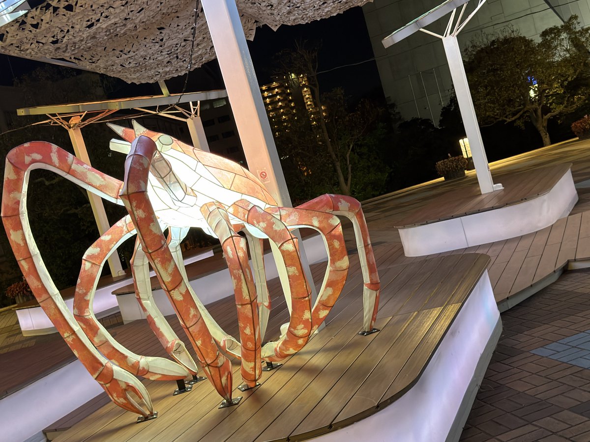 pippi_vba's tweet image. 姪っ子に言われて海遊館前のイルミネーション観に来たけど、どんどんしょぼくなってる…？
着いて10分で退散(๑´д`๑)