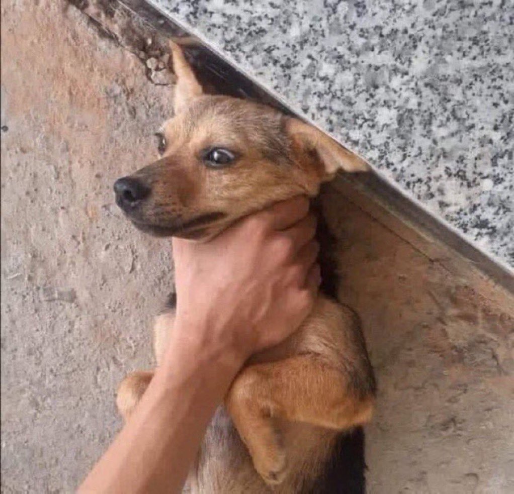 kabkuene's tweet image. Another Saturday to tell you this.....👇👇

GUIDE OO!!!!!