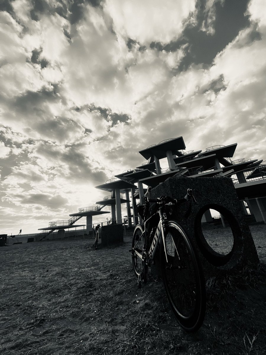 もみじロード
見頃は来週？

サイクリングコミュニティPLSでは
一緒に思い出に残るライドができる仲間を
募集してます！気軽にDMしてね