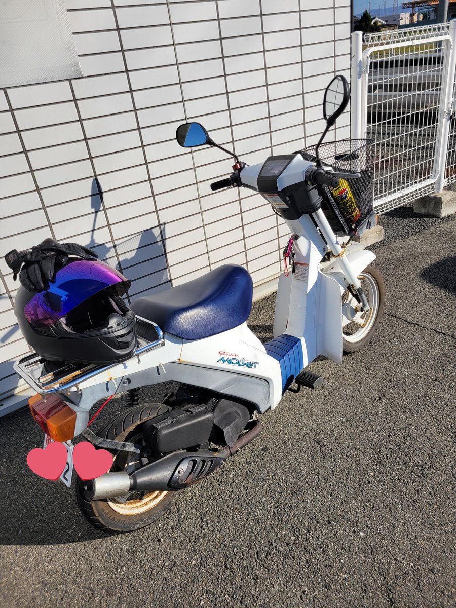 ma_Scary_'s tweet photo. (定期)
不動車と30km限界の原付持ってます
ゲームもしてます
最近新しい仲間が増えました
友達いっぱい欲しいです https://t.co/dRE3ggX9N4