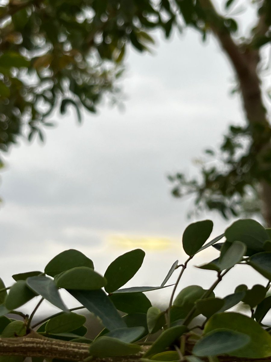 قال تعالى ﴿ كُلَّ يَوْمٍ هُوَ فِي شَأْنٍ﴾
يكشف كرباًويغفر ذنباً ويعطي رزقاً ويشفي مريضاًويعافي مبتلىً ويفك مأسوراًويجبرُ كسيراً فالحمدلله كثيراً 
إن النعمة موصولة بالشكر والشكر متعلق بالمزيد ولن ينقطـع المزيد من الله 
حتى ينقطع الشكرمن العبد.
وهو وعدالكريم( لئن شكرتم لأزيدنكم)