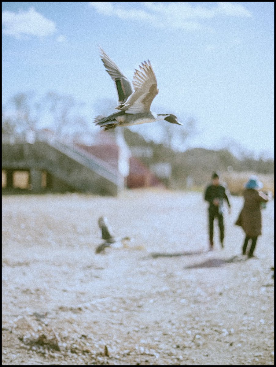 kei (@kei_portrait_) on Twitter photo 