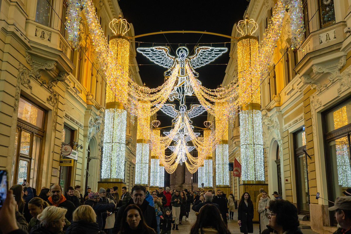 Emil Boc tweet media