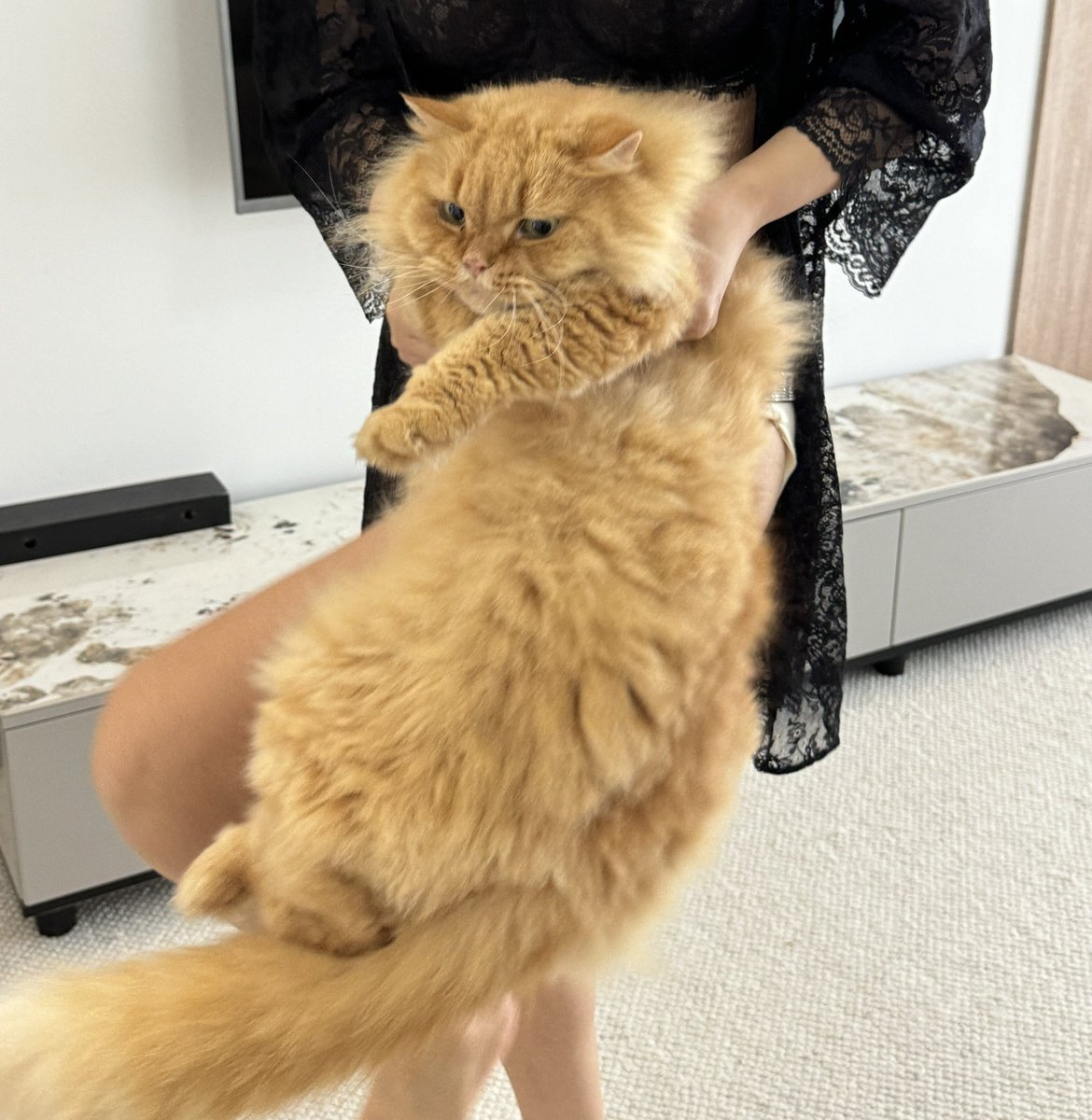 Ada902213's tweet image. 虽然照片拍得骚 但是是长期性冷淡
喜欢精神交流 柏拉图式的爱情
算了 和你们说不清楚