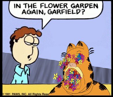 I really thought I did something