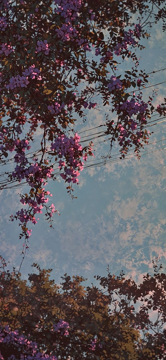 paigebulgis's tweet image. 