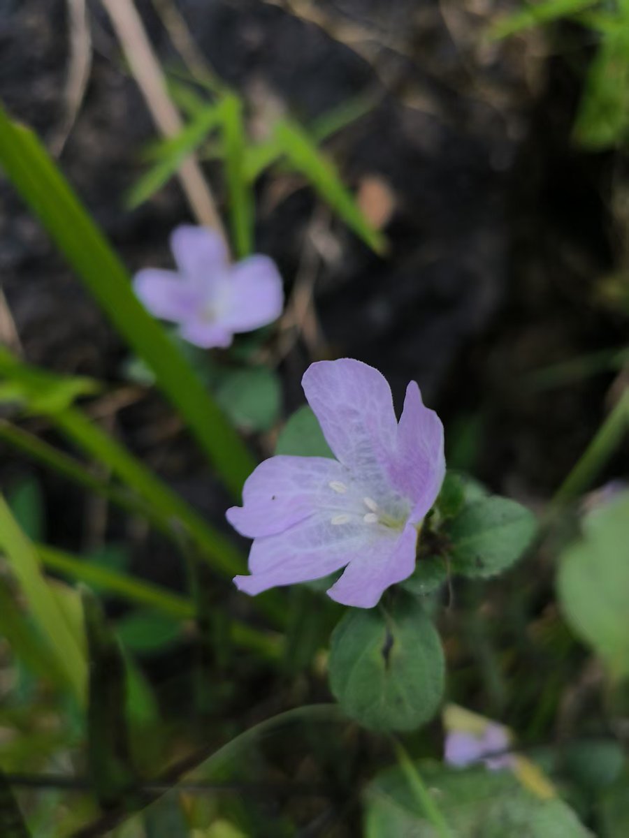 wdr2oversea (@wdr2oversea) on Twitter photo 