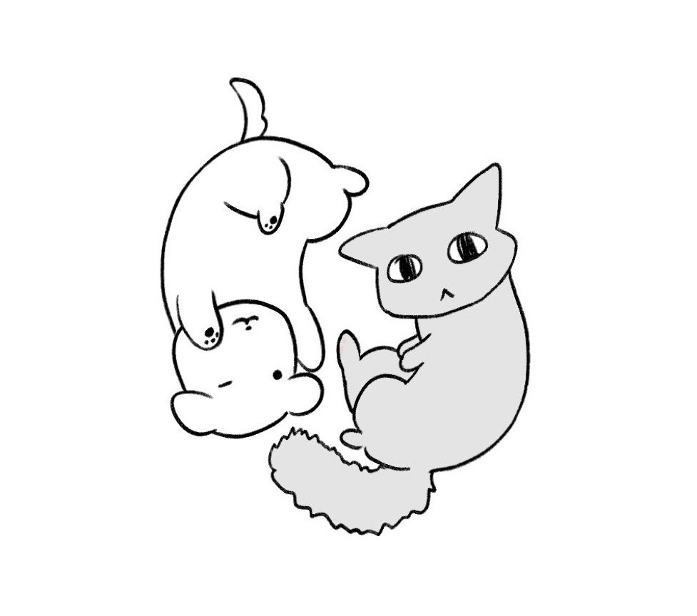 짤쓸사람 (@bdemgmr) on Twitter photo 