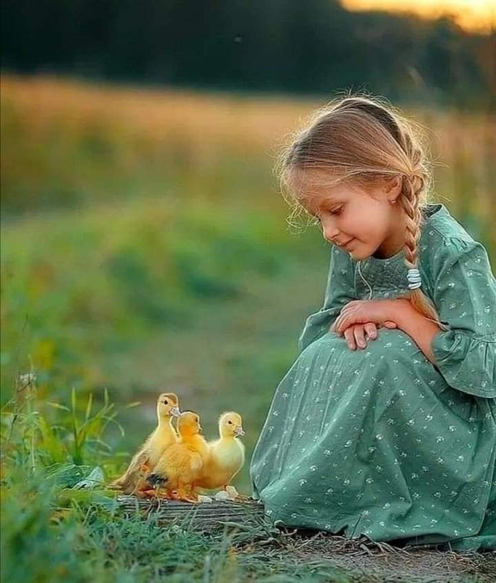 كن 👈 متميزاً
برحمتك بالخلق
بعفة لسانك
بكظم غيظك
بطيب كلماتك
بجميل أفعالك
فإن حُسن الخلق
أثقل ما يوضع
في ميزانك يوم القيامة.