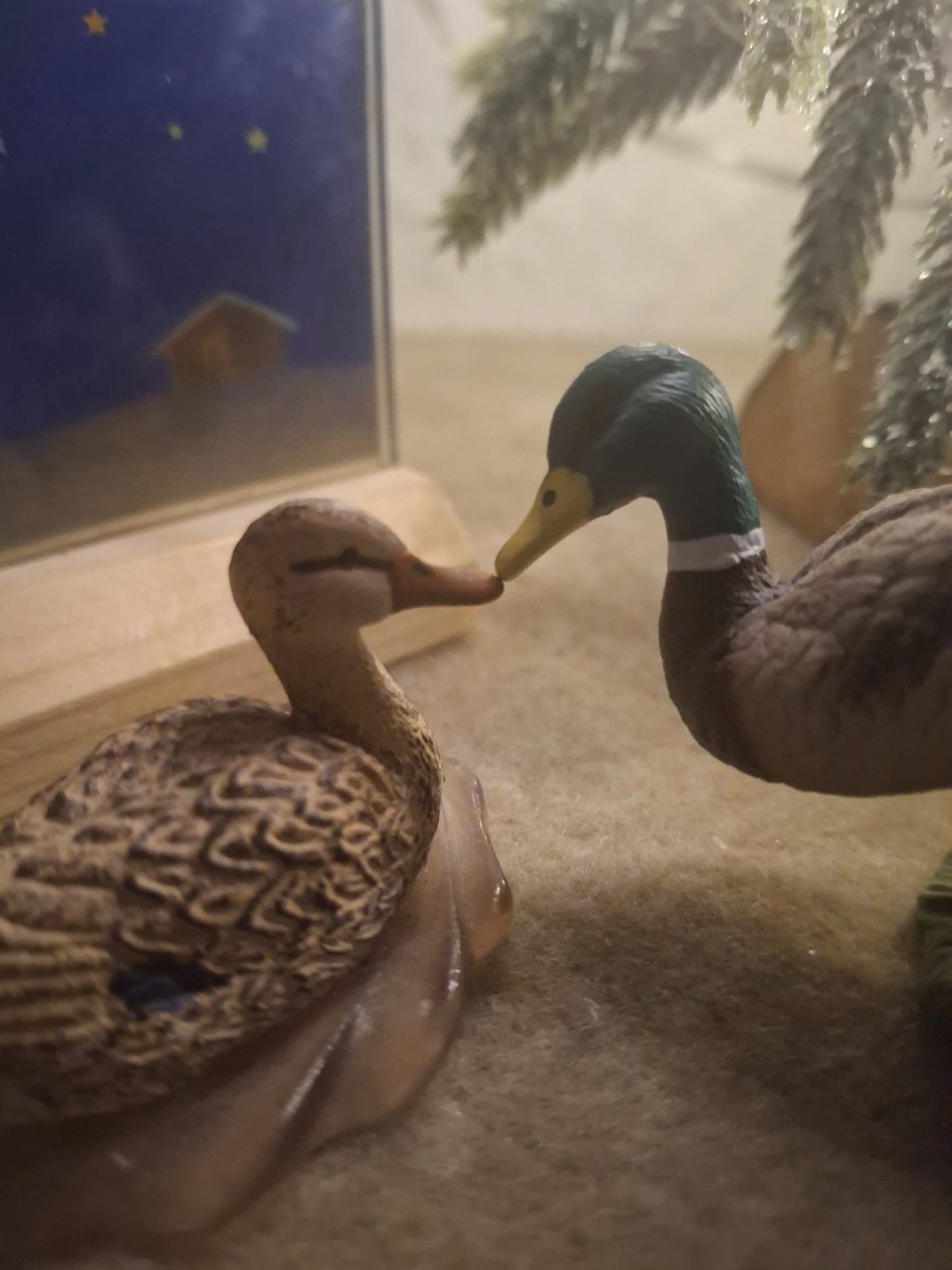 Donut und ich haben für Weihnachten dekoriert und direkt unter dem Baum rumgemacht... 💕